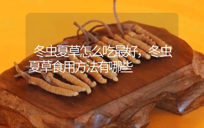 冬蟲夏草怎么吃最好，冬蟲夏草食用方法有哪些