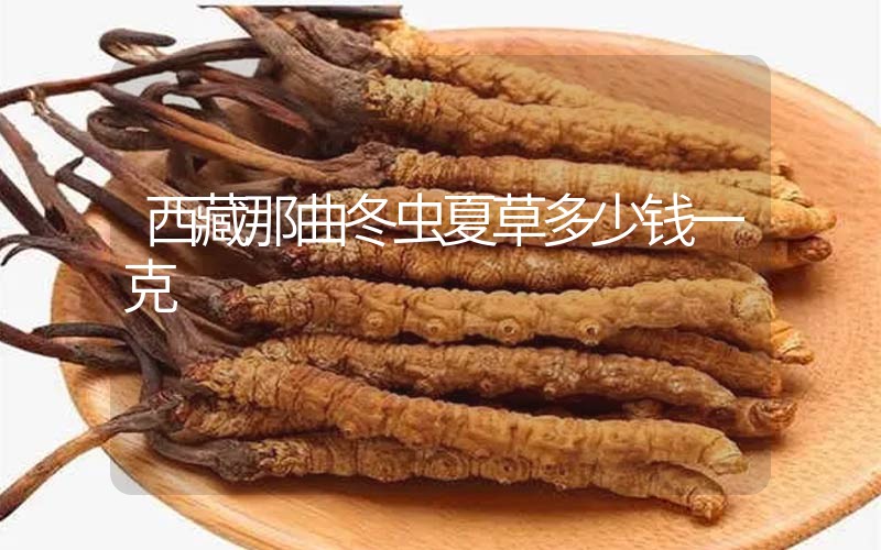 西藏那曲冬蟲夏草多少錢一克？