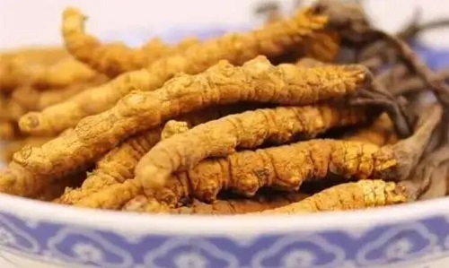 長期服用冬蟲夏草會(huì)砷中毒嗎