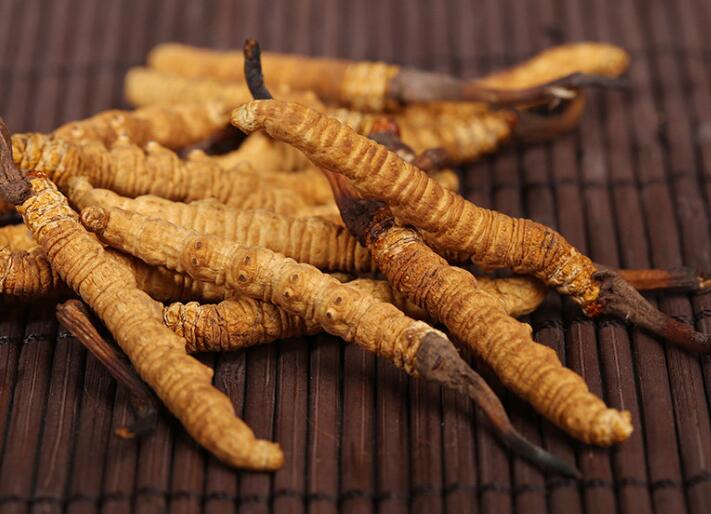 什么樣的冬蟲夏草算是優(yōu)質的？
