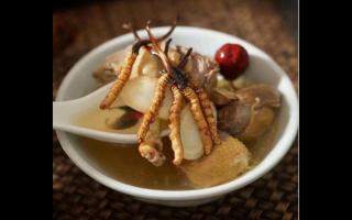 冬蟲夏草補(bǔ)膳都有什么做法？