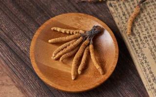 一看就知道，這才是真正的新鮮冬蟲夏草！