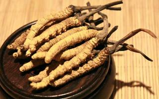 冬蟲夏草的價(jià)格一克：為何如此昂貴？