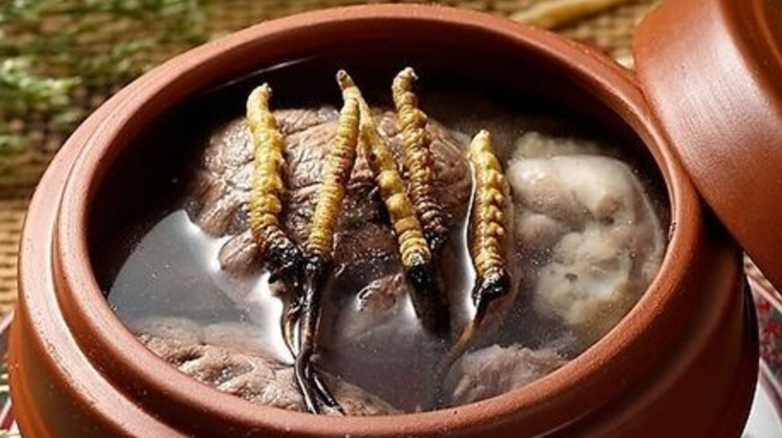 鮮冬蟲(chóng)夏草吃多會(huì)上火嗎？一文解析真相