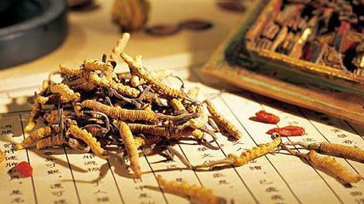 冬蟲夏草是什么長成的？揭秘其獨特的生長歷程