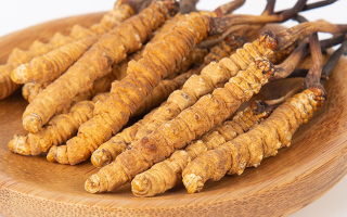 冬蟲夏草怎么驗(yàn)真假？教你幾招秒判斷真?zhèn)蚊丶?> </div>
            <div   id=