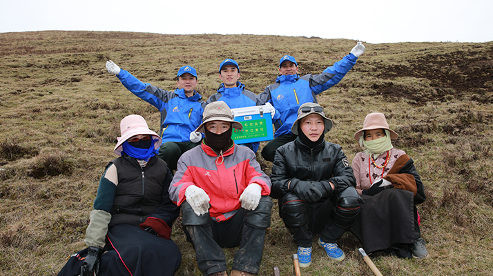 西藏冬蟲夏草的主要產(chǎn)地:品質(zhì)與地域特色詳解