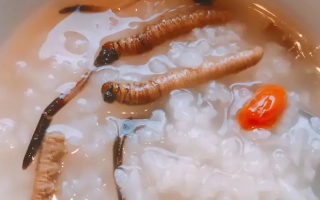 冬蟲夏草適合哪些人群？精準匹配與禁忌提醒