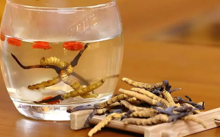 長(zhǎng)期喝冬蟲(chóng)夏草泡水好嗎？科學(xué)分析與飲用指南