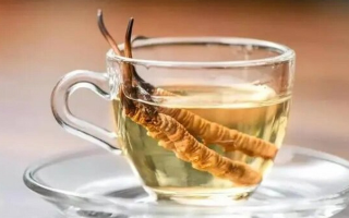 用酒泡冬蟲夏草能喝嗎？了解這些，安全飲用更滋補