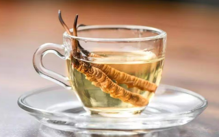 一瓶酒泡多少冬蟲夏草？科學(xué)搭配有講究