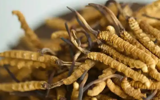 冬蟲夏草搭配需謹(jǐn)慎，這些野菜不宜同食