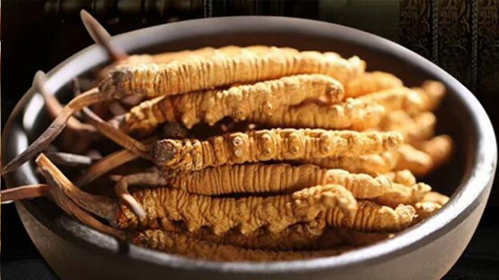 冬蟲(chóng)夏草效果好不好用？科學(xué)與實(shí)踐視角下的全面解析