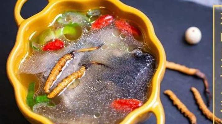 野生冬蟲夏草:副作用風險需理性看待