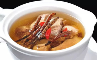 冬蟲夏草湯的正確熬制方法，營(yíng)養(yǎng)與美味兼得