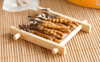 2025 年 9 月冬蟲夏草行情：價(jià)格微幅波動(dòng)，優(yōu)質(zhì)貨成硬通貨