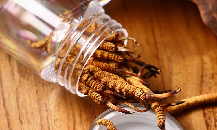 <a href=http://www.shjiuxinzc.com/jiage/ target=_blank class=infotextkey>冬蟲(chóng)夏草多少錢(qián)</a>一條 