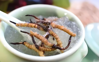 十根冬蟲夏草能泡幾斤酒？泡酒比例與細(xì)節(jié)指南