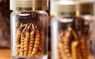 送冬蟲夏草給男孩子好嗎？分場景分析 + 送禮建議