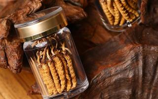 鮮冬蟲(chóng)夏草泡水后怎么保存？3 種場(chǎng)景保存方法 + 避坑指南