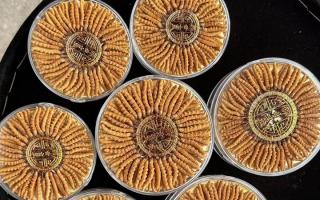 什么白酒適合泡冬蟲夏草？4 大標(biāo)準(zhǔn) + 泡制指南