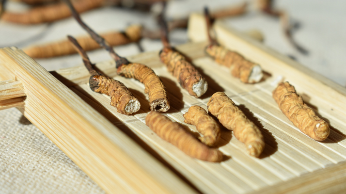 斷的<a href=http://www.shjiuxinzc.com/ target=_blank class=infotextkey>冬蟲夏草</a>一克啥價(jià)