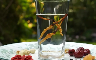 人參配蟲草泡酒，泡多久才好喝？咱跟你說實在的