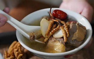 冬蟲夏草和什么一起燉可以治咳嗽？