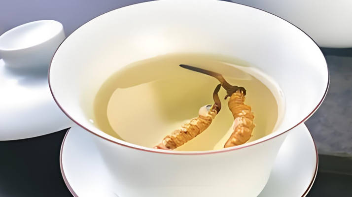 鮮冬蟲夏草可以煮水喝嗎？有什么功效和作用？